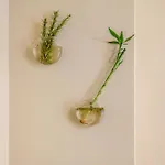 Linos House * 阿通奎亚·达·巴利亚